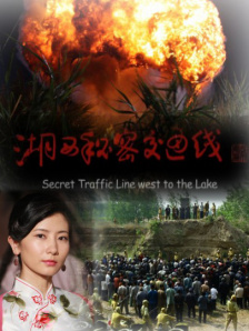 欧美成人dvd在线视频